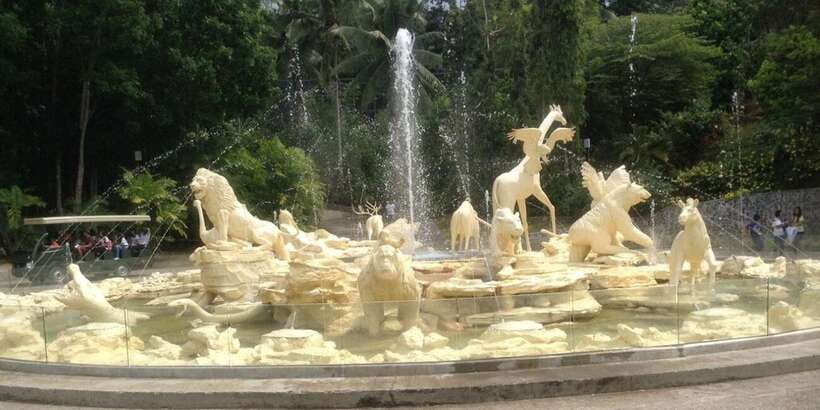 From Cebu City: Cebu Safari and Adventure Park Day Tour - Who Will Get the Most From This Tour?