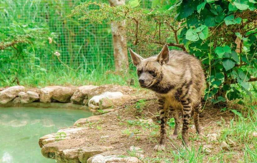 From Cebu City: Cebu Safari and Adventure Park Day Tour - Booking Flexibility and Basic Rules