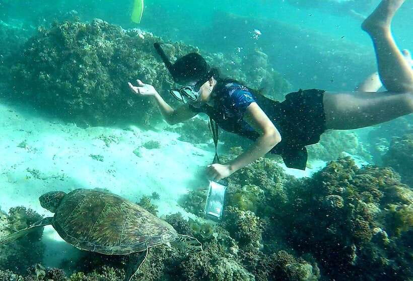 From Cebu City: Moalboal Pescador Snorkeling Tour + Lunch - The early road from Cebu City to Moalboal