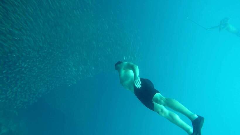 From Cebu City: Moalboal Pescador Snorkeling Tour + Lunch - Swimming near sea turtles