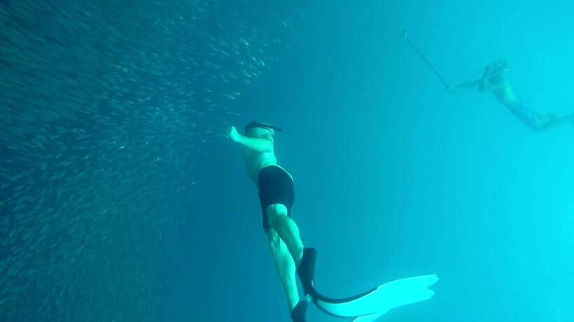From Cebu City: Moalboal Pescador Snorkeling Tour + Lunch - Lunch at a local restaurant