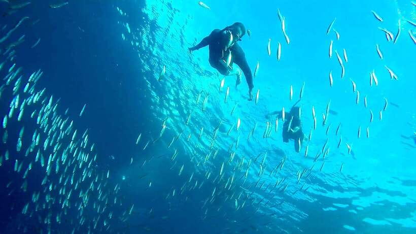 From Cebu City: Moalboal Pescador Snorkeling Tour + Lunch - Free time after the main activities