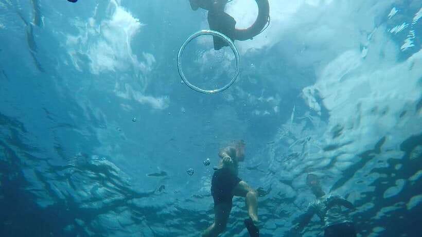 From Cebu City: Moalboal Pescador Snorkeling Tour + Lunch - Is $100 good value?
