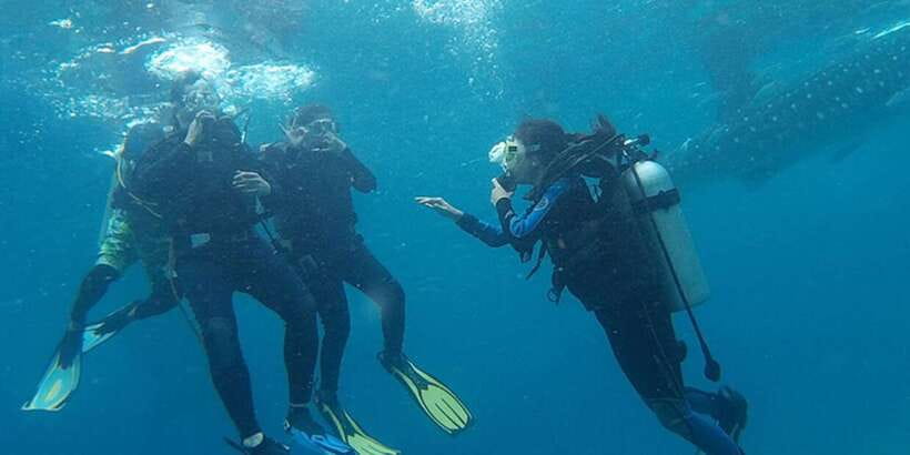 From Cebu City: Scuba Diving with Whale Sharks Trip in Oslob - Who will get the most from this Oslob trip