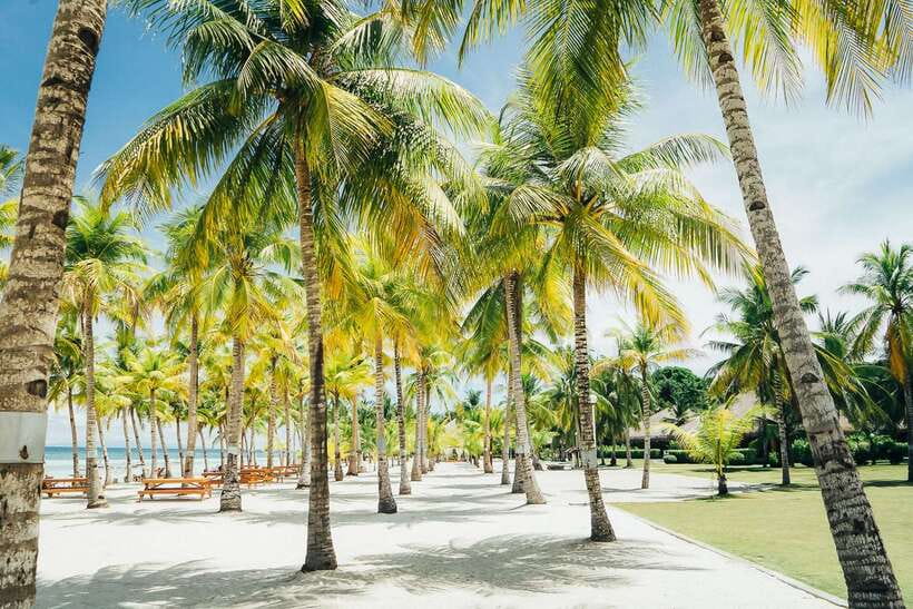 From Cebu: Day Trip to Bohol Highlights - Why this Cebu to Bohol day trip works