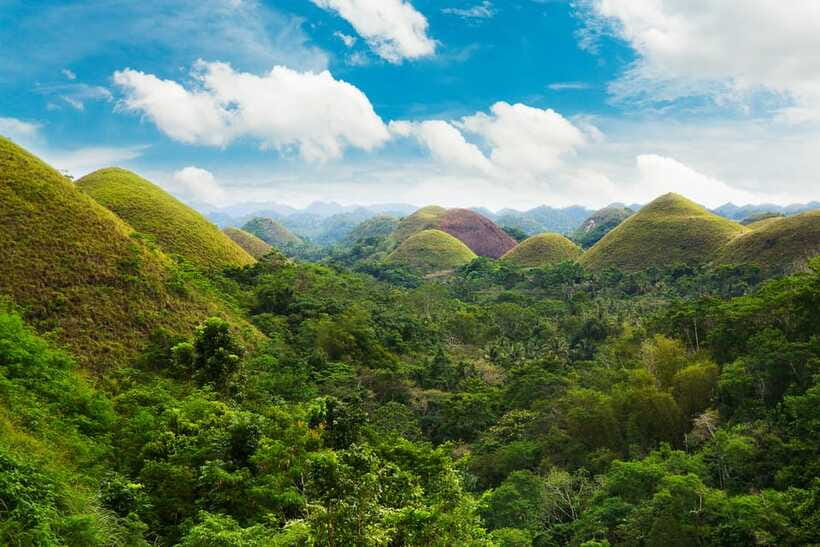 From Cebu: Day Trip to Bohol Highlights - The Bilar Man-Made Forest and rural Bohol