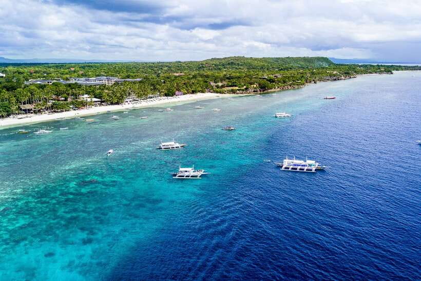 From Cebu: Day Trip to Bohol Highlights - Tarsier viewing, with a little patience