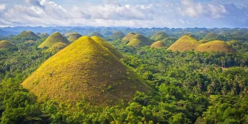 From Cebu: Full-Day Bohol Excursion - Why this Cebu to Bohol day trip works