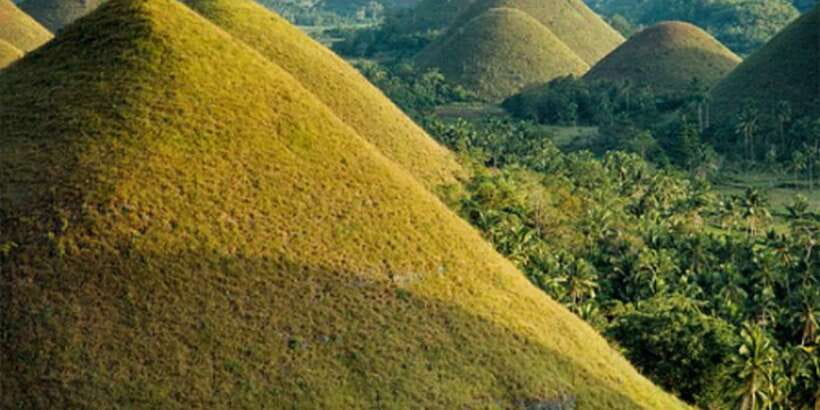 From Cebu: Full-Day Bohol Excursion - Blood Compact Site: a short stop with national meaning