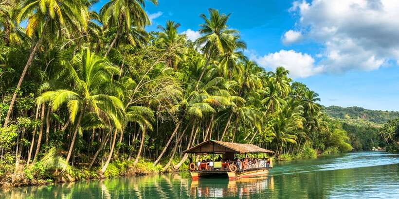 From Cebu: Full-Day Bohol Excursion - What the guide and driver add to the day