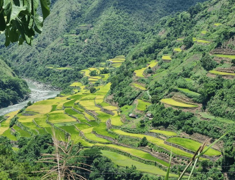 From Manila: 2-Day Buscalan Tour with Apo Whang-od - Staying with a Buscalan homestay family