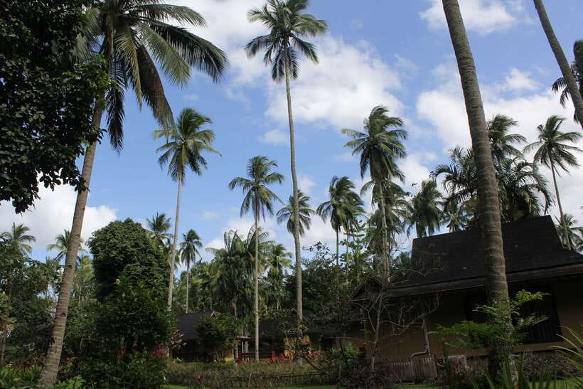 From Manila: Day Tour to Enchanting Hidden Valley - Entering the 300-foot volcanic crater