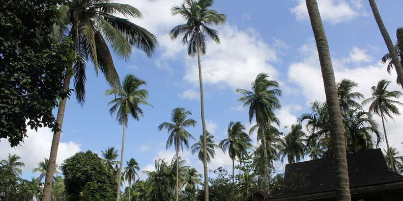 From Manila: Day Tour to Enchanting Hidden Valley - Smart packing for the pools and trail