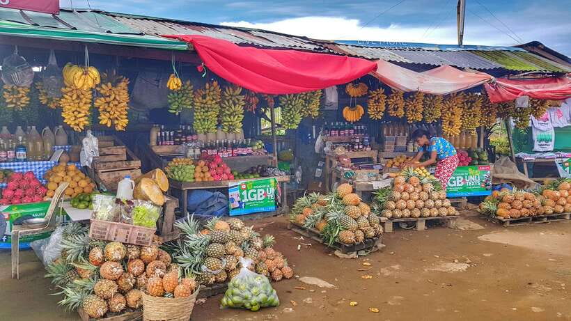 From Manila: Tagaytay Countryside Wonders: A Half-Day Tour - Leaving Manila for Tagaytays cooler air