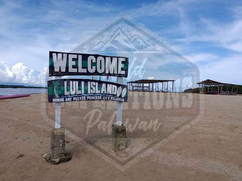 From Puerto Princesa: Honda Bay Island Hopping Full-Day Tour - Starfish Island and the included picnic lunch