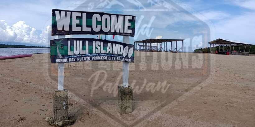 From Puerto Princesa: Honda Bay Island Hopping Full-Day Tour - Swimming, fish, and simple island time