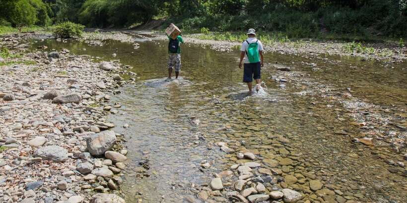From Puerto Princesa: Trek to Batak Tribe Village - Who should book this Batak village trek?