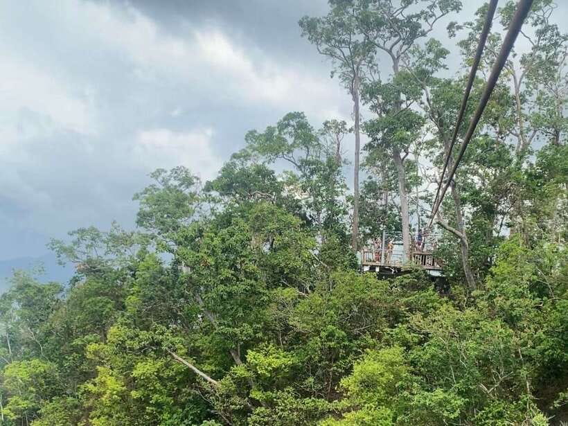 From Puerto Princesa: Underground River Full-Day Trip - The 45-minute mangrove paddleboat cruise