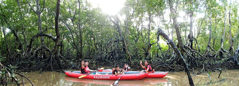 From Tagbilaran City/Panglao Island: Bohol Mangrove Kayaking - Why the Abatan River makes a better paddle than a photo stop
