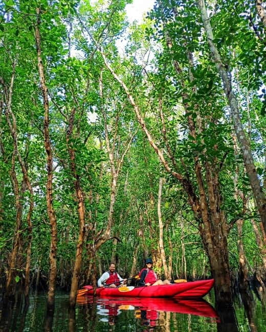 From Tagbilaran City/Panglao Island: Bohol Mangrove Kayaking - How the $64 price works out