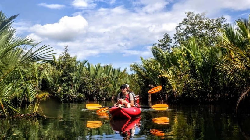 From Tagbilaran City/Panglao Island: Bohol Mangrove Kayaking - The pickup and drive from Panglao or Tagbilaran