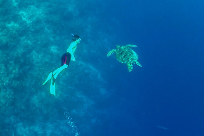 Full-Day Moalboal Islands and Kawasan Falls Small-Group Tour from Cebu - Why the 5:00 am start matters