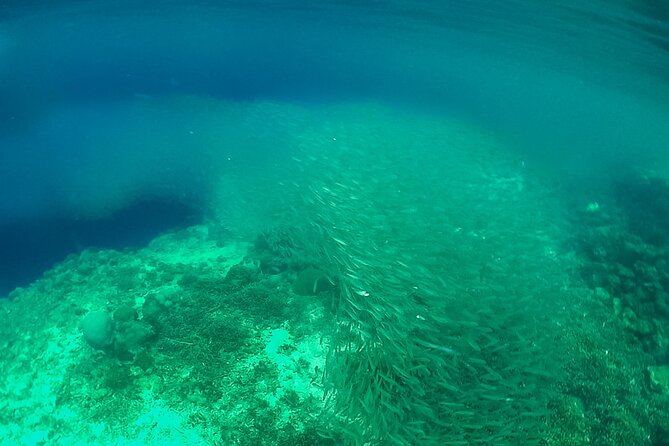 Full-Day Moalboal Islands and Kawasan Falls Small-Group Tour from Cebu - Lunch, snacks, and what the $187 price covers