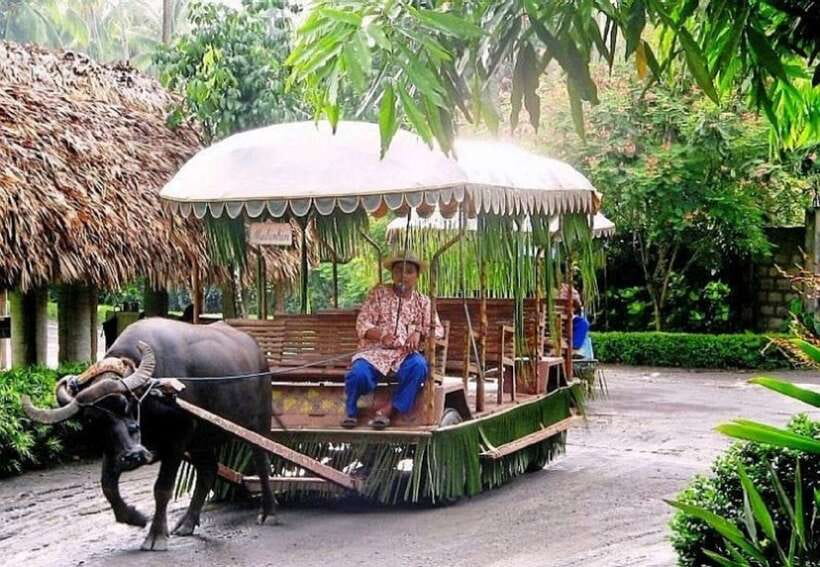 Full Day Tour Villa Escudero Plantation - Leaving Manila for the Escudero plantation