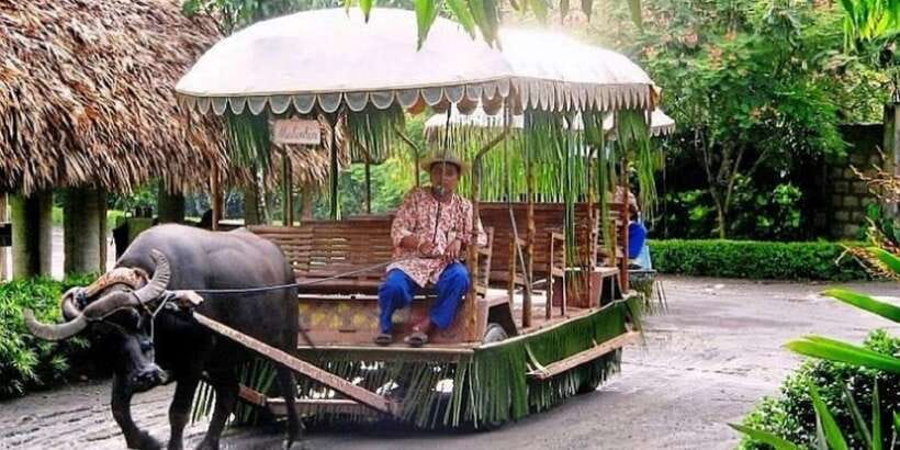 Full Day Tour Villa Escudero Plantation - Lunch with your feet in the water