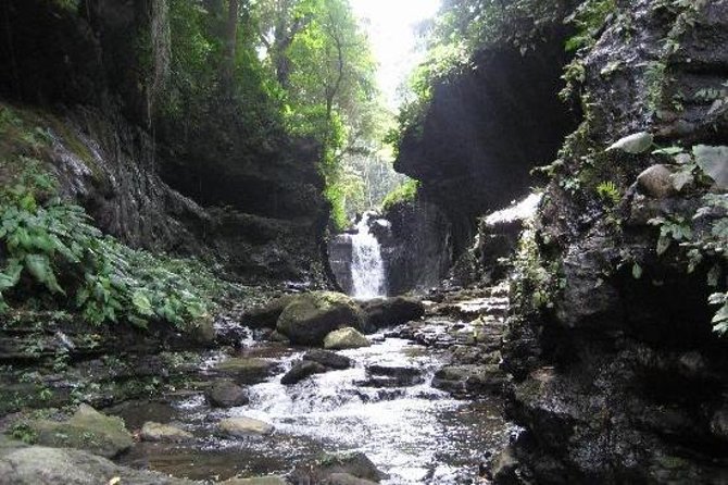 Hidden Valley Springs Resort Day Trip from Manila - Five things to know before you go