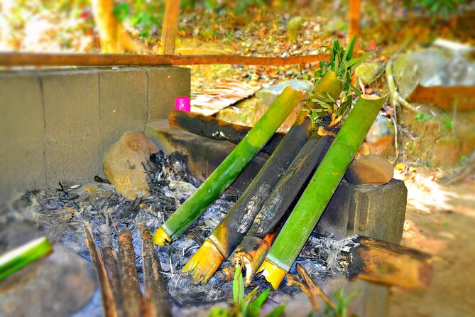 indigenous Forest experience Manila 2023 - Why this Subic Bay forest visit feels different