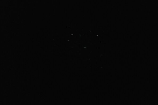 Joiners Firefly Watching Tour - What the included transport adds