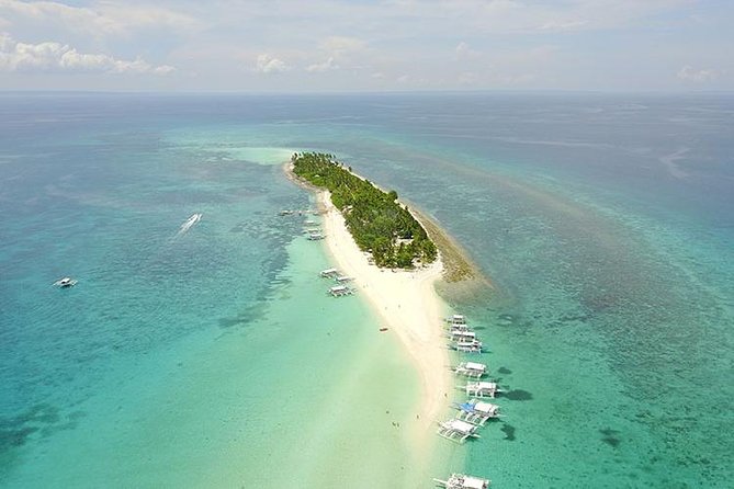 Kalanggaman & Malapascua Island Day Tour with Private Transportation - Key points before you book
