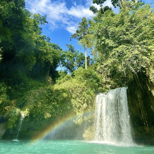Kawasan Falls Canyoneering Transfers from Cebu with Lunch - What this Kawasan Falls day actually involves