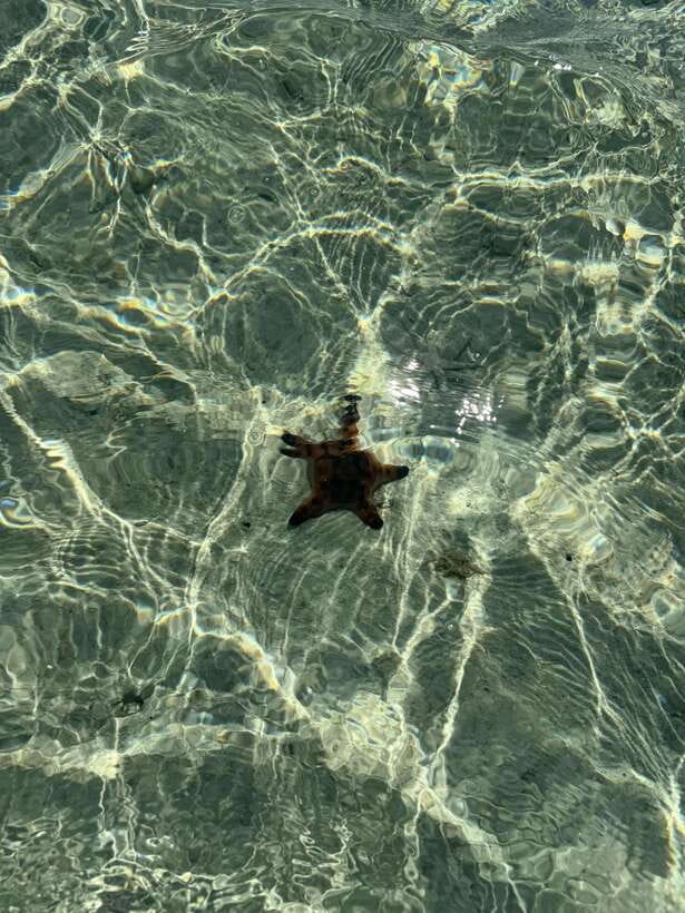 Mactan Island Hopping Gilutungan, Caohagan, Nalusuan + Lunch - Nalusuan adds clear water, beach time, and a second swim