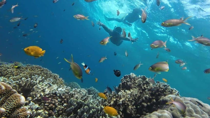 Mactan Island Hopping Gilutungan, Caohagan, Nalusuan + Lunch - What to pack for a smoother day