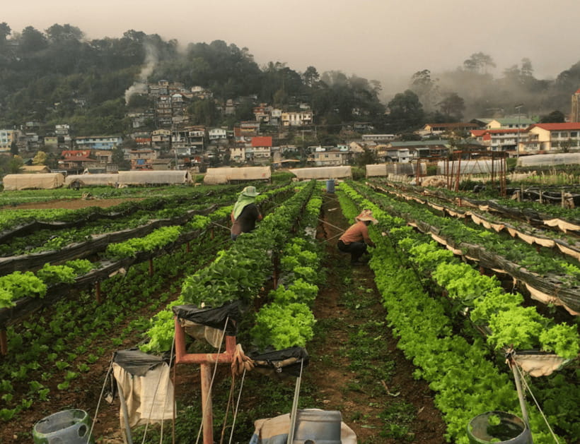 Manila: 3-Day Sagada, Baguio, & Banaue Rice Terraces Tour - The schedule is flexible, sometimes too flexible