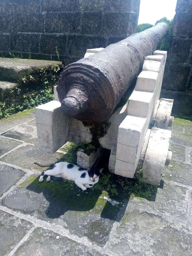 Manila: Intramuros Tour ( Dark) - Why Intramuros works for a dark history walk