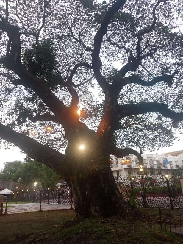 Manila: Intramuros Tour ( Dark) - Fort Santiago: the tour’s strongest hour