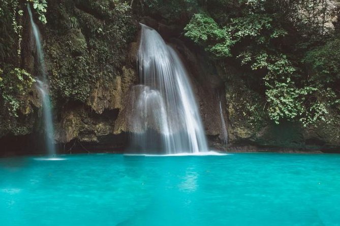 Moalboal Sardine Run and Kawasan Day Tour - Why this Cebu day trip works