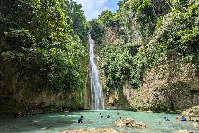 Moalboal Sardine Run, Sea Turtle and Mantayupan Falls - Why this Cebu day trip works