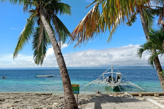 Moalboal Sardine Run, Sea Turtle and Mantayupan Falls - Snorkeling at Panagsama Beach
