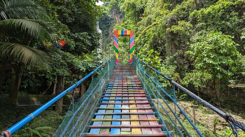 Moalboal Sardine Run, Sea Turtle & Mantayupan Falls - Key things to know before booking