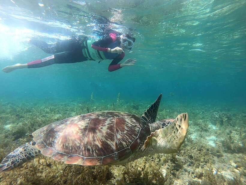 Moalboal: Sardine Run, Turtles and Pescador Island Hopping - Getting set up at Moalboal