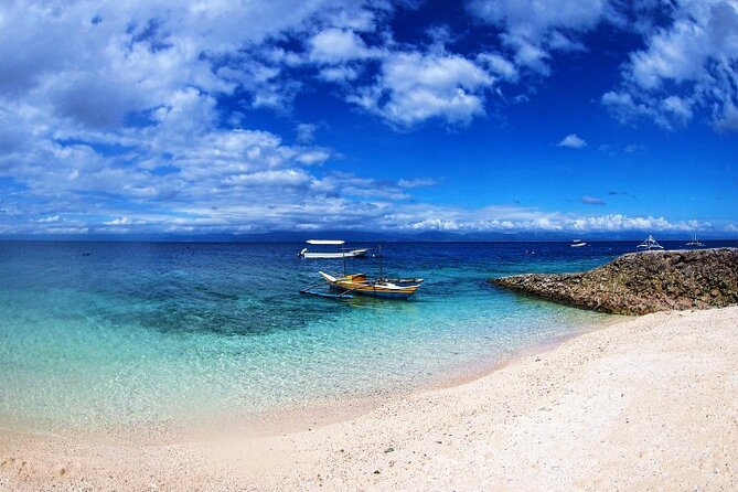 Moalboal Sardines Run Private Tour w/ Transfers Option - A good choice for first-time snorkelers