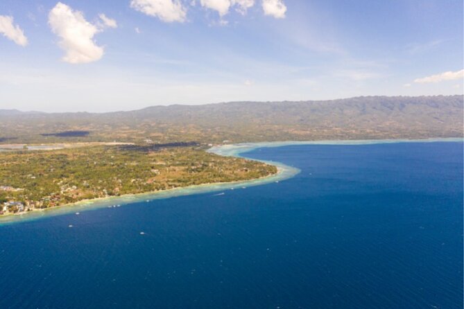 Moalboal Sardines Run Private Tour w/ Transfers Option - The value of a $20 private experience