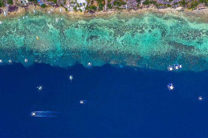 Moalboal Sardines Run Private Tour w/ Transfers Option - Why an early start may improve the outing