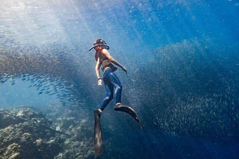 Moalboal: Scuba Diving and Pescador Island Hopping - Why Moalboal’s Underwater World Is Worth Your Time