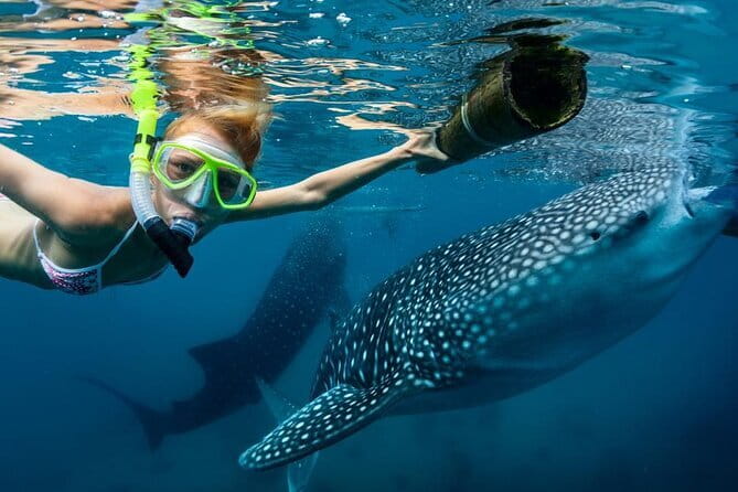 Moalboal Snorkeling, Kawasan Canyoneering with Zipline and Lunch - Who Should Book This Day?
