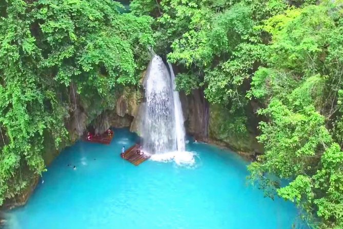 Oslob Whale Shark and Kawasan Falls Day Tour - Oslob and the whale shark encounter